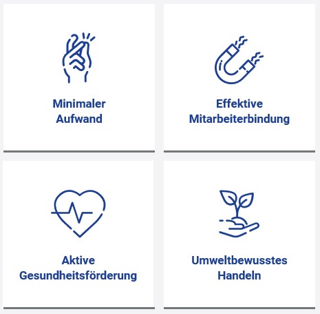 Dienstrad_Benefits Dienstrad_Benefits